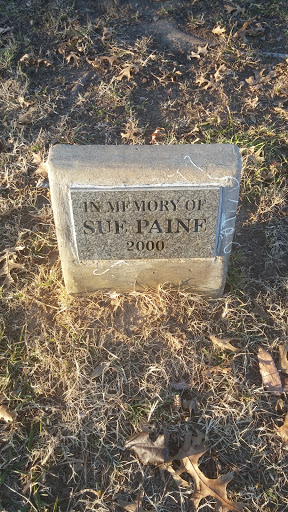Sue Paine Memorial 