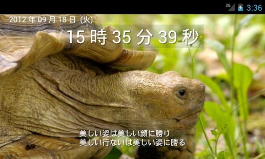 Download TurtleClock APK