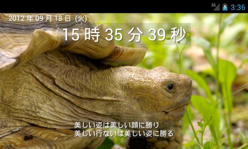 TurtleClock Screen 3