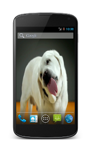 Free Download Labrador Licks Screen LWP APK for PC