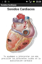 heart sounds demo poster 6