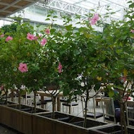 香草菲菲 芳香植物博物館