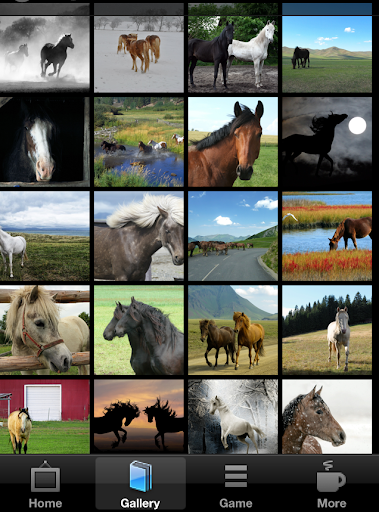 免費下載生活APP|Horse Wallpaper HD app開箱文|APP開箱王