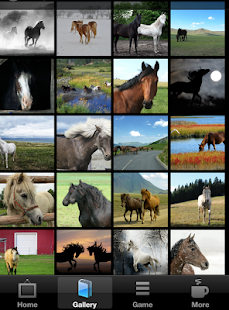 How to install Horse Wallpaper HD 1.5 mod apk for android