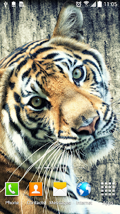 How to install Tiger Live Wallpaper lastet apk for bluestacks