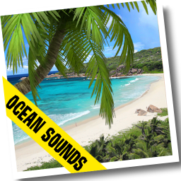Beach Live Wallpaper v4.0