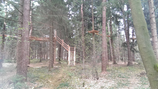 Münchner Wald Hochseilgarten