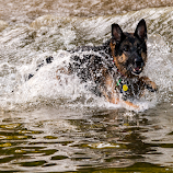 Summertime Fun by Myra Brizendine Wilson -  
