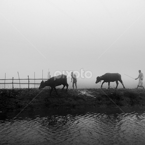 Mist way by Apu Jaman - Black & White Landscapes