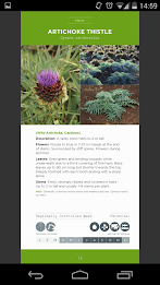 Weeds ID Guide Nth Central Vic poster 4