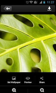 How to mod Green Leaves Theme 1.0.1 apk for bluestacks