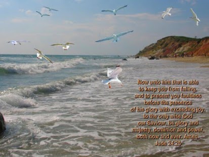   Chronological Bible Studies- screenshot thumbnail   