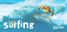 Joy of Surfing APK