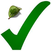 Correct grammar rules