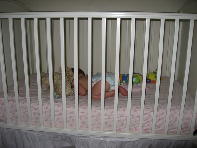 [20080523_019[2].jpg]