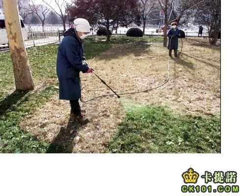 [OlympicsGreen[3].jpg]