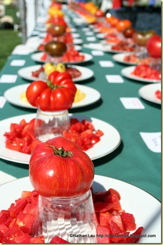 Tomato Tasting Table