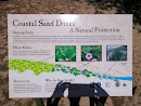 Coastal Sand Dunes