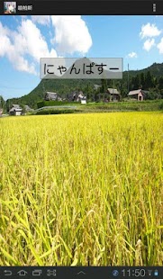 nyanpass~ Screen 2