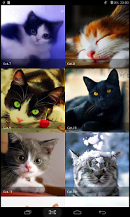 How to mod Wallpapers Cats - Nice Cats lastet apk for bluestacks