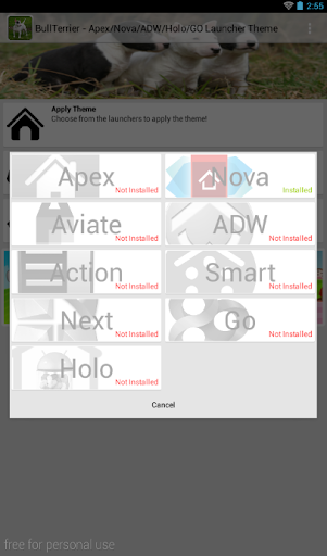 免費下載個人化APP|Bull Terrier Theme - Nova/ADW app開箱文|APP開箱王