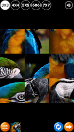 Tile Puzzle: Birds poster 4