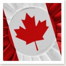 [Canada-Day-Crafts[7].jpg]