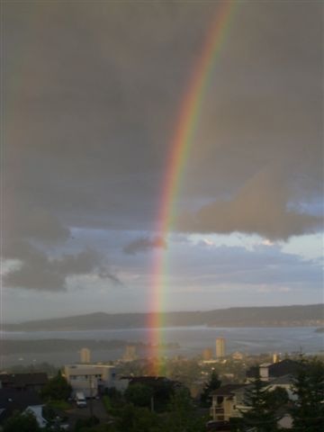 [Rainbow, July 27,2008 002[3].jpg]