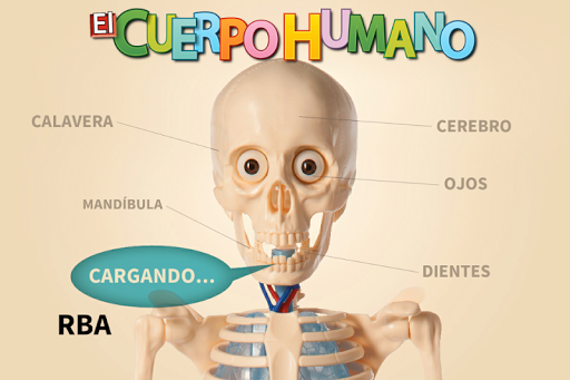 El Cuerpo Humano