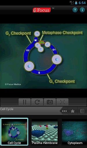 【免費醫療App】Anatomy Atlas - Animated-APP點子