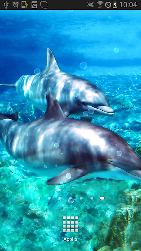 Dolphins with Bubbles LWP