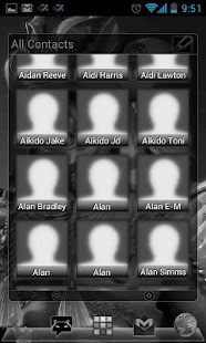 APW Theme SkullGray - Free Screenshots 4