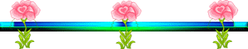 b48.png