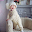 Baby Clothes Download on Windows