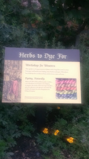 Herbs To Dye For