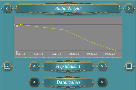 Graphic Diary Screenshots 11