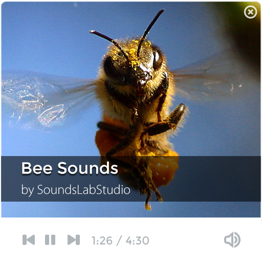 Bee Sounds LOGO-APP點子