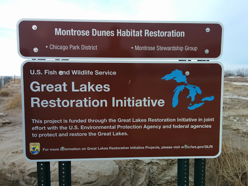 Montrose Dunes Restoration