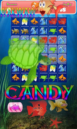 Candy Fish Wakwaw