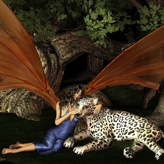 2007120113444233_leopardangel.jpg