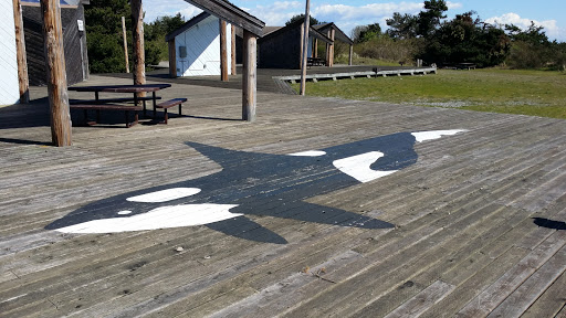 Point Roberts Orca Mural
