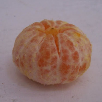 Citrus deliciosa,
avana,
gallego,
Italian tangerine,
mandarina,
Mandarine,
mandarinier commun,
mandarino,
Mediterranean mandarin,
palermo,
setúbal,
willow-leaf mandarin
