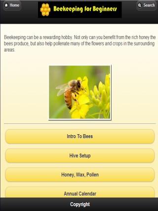 Beginner Beekeeping