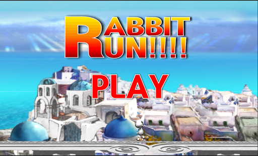 Rabbit Run