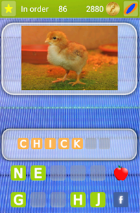 Discover the animal Winner Screenshots 9