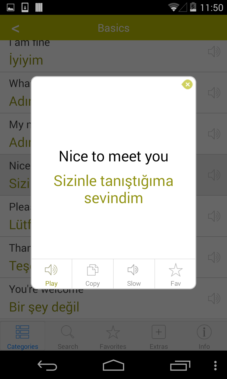 Turkish Translation with Audio Screen 3