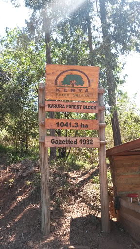 Karua Forest Limuru Road Gate
