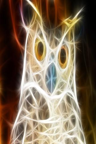 Android application 3D Owl screenshort