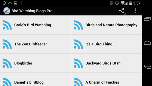 Bird Watching Blogs Free