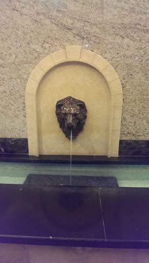 Fountain of the Lion Face